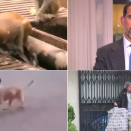 Los vídeos de la semana