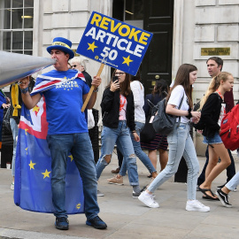 Un activista contra el brexit se manifiesta frente a  la sede del Cabinet Office, en el centro de Londres. EFE/EPA/ANDY RAIN