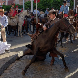 Un caballo se cae durante la salida en la Plaza del Salvador de la Hermandad de Sevilla. - EFE