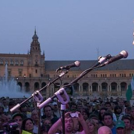 El portavoz del SAT Diego Cañamero.- EFE