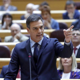 El presidente del Gobierno, Pedro Sánchez, durante su intervención en la sesión de control del Gobierno en el Senado. EFE/Kiko Huesca