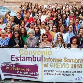 Organizaciones sociales elaboran un informe "sombra" sobre los incumplimientos de España del Convenio de Estambul
