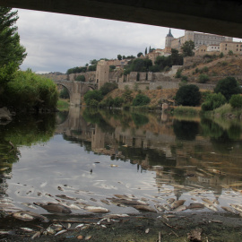 El Tajo presenta un aspecto deplorable a su paso por Toledo