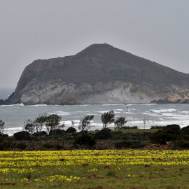 Imagen de la Bahia de Los Genoveses en el Parque Natural Cabo de Gata - Nijar ( Almería)