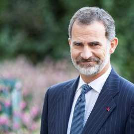 El rey de España, Felipe VI, a su llegada a la exposición de Miró en el Grand Palais en París. - EFE