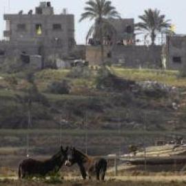 54a195600e6e5.jpg