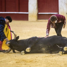 Veterinarios antitaurinos piden que estos profesionales dejen de implicarse en corridas de toros. EFE