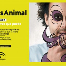 Junta Andalucía lanza campaña #NoSeasAnimal contra el acoso sexual callejero. / Junta de Andalucía