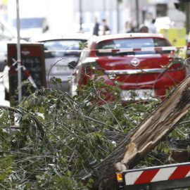 Un bombero retira las ramas de un árbol caído en Madrid. EFE