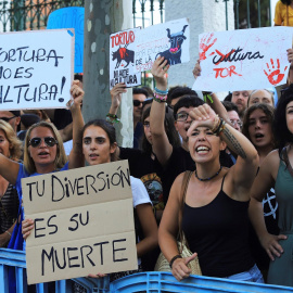 09/08/2019.- Manifestación antitaurina en Palma de Mallorca con motivo de la corrida de toros que se celebra este viernes en el Coliseo Balear. / EFE / LLITERES