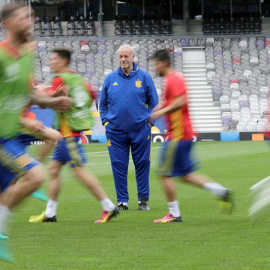 Vicente del Bosque dirige el entrenamiento previo al partido de este lunes de España en Toulouse. /EFE