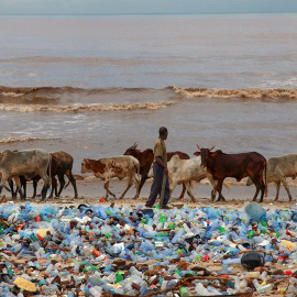 Un hombre pasea con su ganado en la playa contaminada Korle Gono, que está cubierta por botellas de plástico y otros objetos que han llegado a la playa después de las fuertes riadas en Acra, Ghana.EFE/Christian Thompson