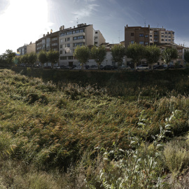 La maleza ocupa el caudal del rio Cidacos a su paso por Tafalla ante la ausencia de lluvias durante todo el verano, a 17 de octubre de 2022.