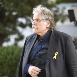 El diputado de ERC en el Congreso, Joan Tardà. / EP