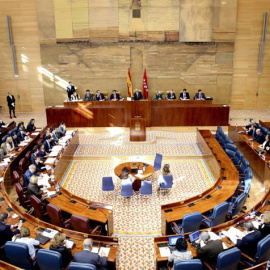 Pleno de la Asamblea de Madrid. EFE