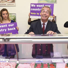 El líder del Partido por la Independencia del Reino Unido (UKIP), Nigel Farage. - EFE