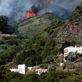 El incendio forestal declarado en Gran Canaria está sin control, es un fuego "muy virulento", ha provocado el desalojo de unas 4.000 personas de cuarenta núcleos poblacionales y ya ha afectado a entre 1.500 y 1.700 hectáreas. EFE/ Ángel Med