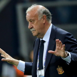 Del Bosque, durante el partido de España contra Turquía. EFE/EPA/OLIVER WEIKEN