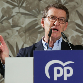 29/10/2022 El presidente del Partido Popular, Alberto Núñez Feijóo, interviene durante la Pulpada de San Froilán, en Lugo