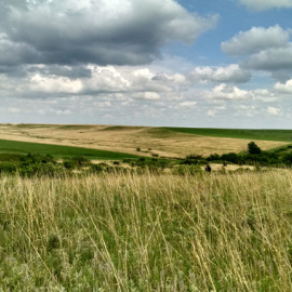 Pradera en la Estación Biológica Konza Prairie en el noreste de Kansas / Kim Komatsu