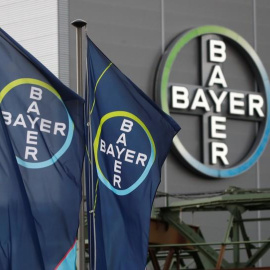 Banderolas con el logo de la química alemana Bayer, en el exterior de una de sus plantas, en la localidad de Wuppertal. REUTERS / Wolfgang Rattay