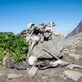 Esqueletos humanos en la orilla del lago Roopkund | Wikimedia-Europa Press