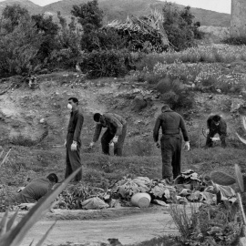 El personal de las Fuerzas Armadas llevando máscaras y guantes trabajando en la zona donde tres de las bombas fueron encontradas