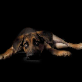 Imagen de la muestra fotográfica “Invisibles, en busca de una segunda oportunidad”.