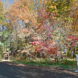 Grace Richardson Conservation. Google Maps