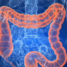 El cáncer de colon es de los más comunes en España, con 41.000 nuevos casos anuales