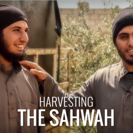 Fanáticos de Caesh / Daviq