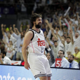 Sergio Llull.
