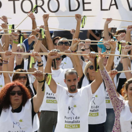 Manifestación contra el Toro de la Vega convocada por el PACMA | EFE