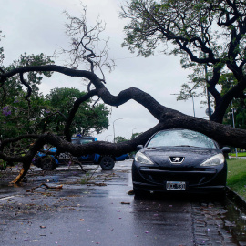 Fotografía de un árbol que cayó sobre un vehículo debido a un temporal, en Buenos Aires (Argentina), este 17 de diciembre de 2023.