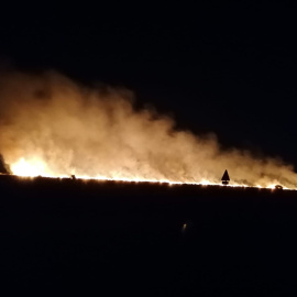 Incendios en Doñana. Ecologistas en acción