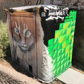 llobregats-contenedor-gatos