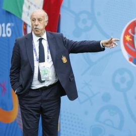 El seleccionador español Vicente del Bosque durante el partido Italia-España de octavos de final de la Eurocopa. /EFE