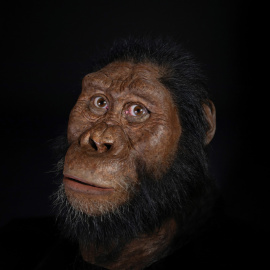 Posible reconstrucción facial del Australopithecus Anamensis | EFE
