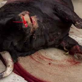 PACMA lanza un campaña en defensa de unos sanfermines sin corridas de toros / PUBLICO