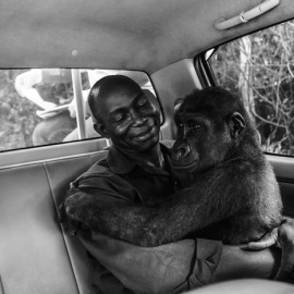 Pikin and Appolinaire, de Jo-Anne McArthur (Natural History Museum)