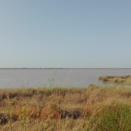 Terreno sobre el que se construirá macroproyecto,situado junto al río Guadalquivir y frente a Doñana | Ecologistas en Acción