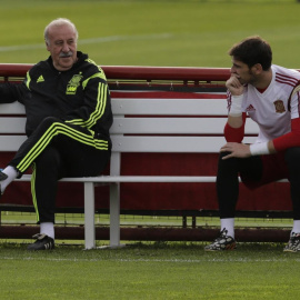 Del Bosque y Casillas charlan durante un entrenamiento con la selección.