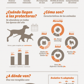 Infografía