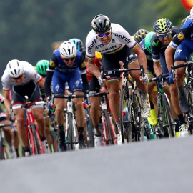 El eslovaco Peter Sagan se impone en la segunda etapa del Tour.- EFE
