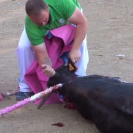 Uno de los participantes en la becerrada mientras acuchilla al animal.- PACMA