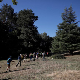 04/09/2019.- Voluntarios trabajan en la búsqueda de la esquiadora Blanca Fernández Ochoa, desaparecida desde el pasado día 23, este miércols en la sierra de Madrid. El portavoz de la familia de Blanca Fernández Ochoa, Adrián Federighi, ha e