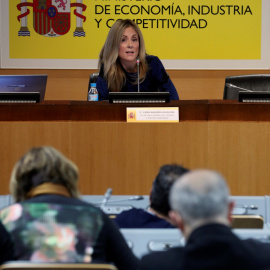 La secretaria general del Tesoro y Política Financiera, Emma Navarro, en una rueda de prensa en la sede del Ministerio de Economía. EFE