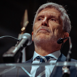 El ministro del Interior, Fernando Grande-Marlaska durante un acto en Madrid, a 7 de noviembre de 2023.