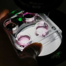 Una empresa española de tratamientos de fertilidad busca inversores internacionales