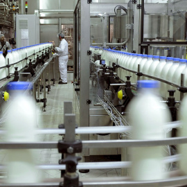 Planta de envasado de leche en España. EFE/Archivo. NACHO GALLEGO